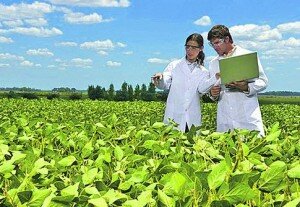 Украина: аграриев будут готовить по-европейским стандартам